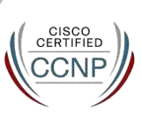 Certified Network Professional (CCNP) Certified Network Professional (CCNP) certification logo
