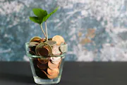 Tech Elevator’s Income Share Agreement: Everything You Need to Know