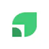 black-codher-logo